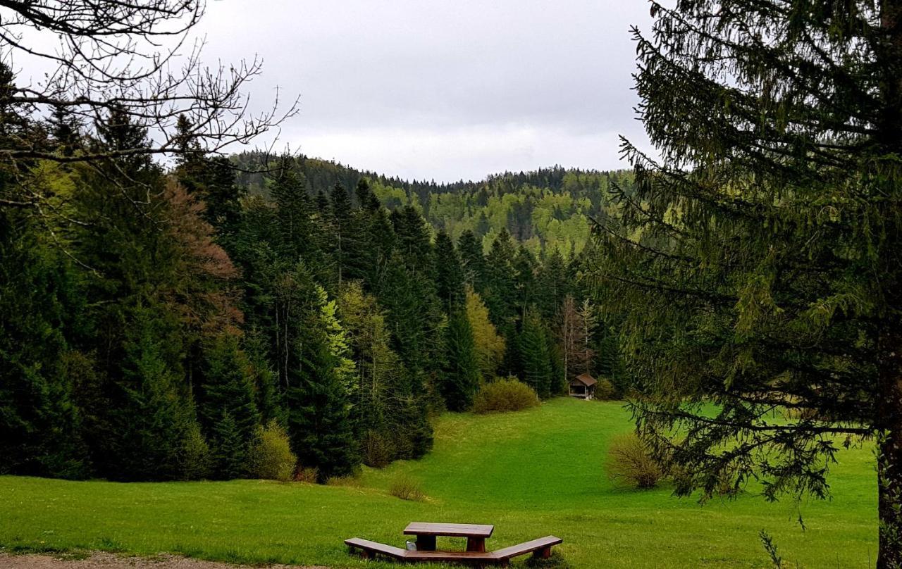 Planinski Dom Na Travni Gori Sodrazica Buitenkant foto