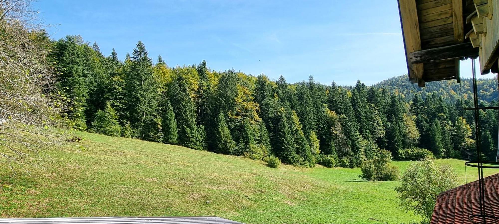 Planinski Dom Na Travni Gori Sodrazica Buitenkant foto